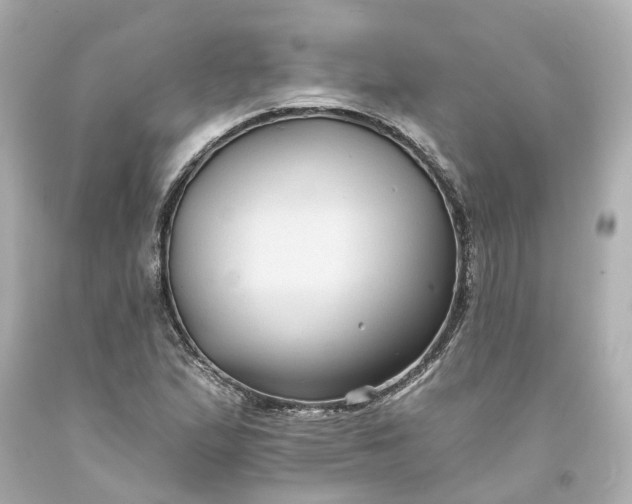 X0000093581167200710291055