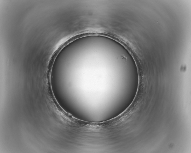 X0000093581168200710291055