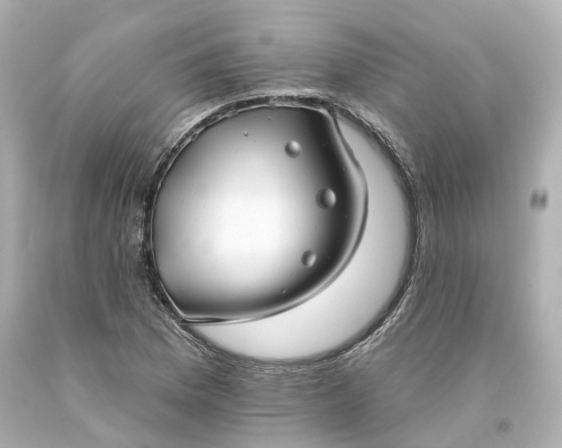 X0000093581169200710291055