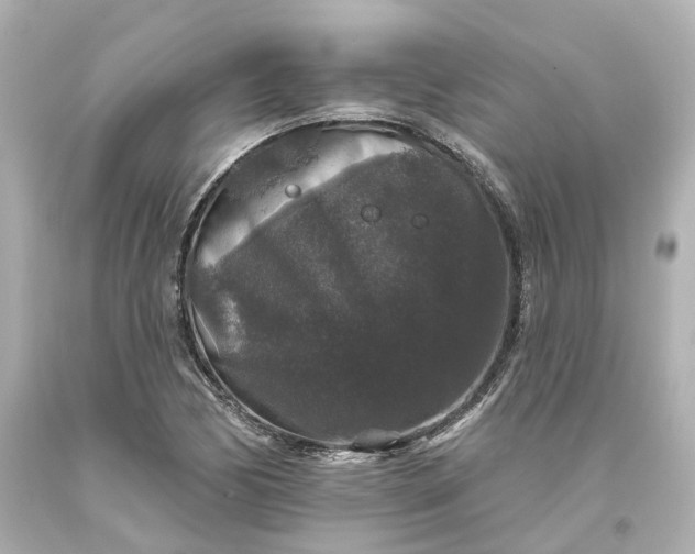 X0000093581170200710291055