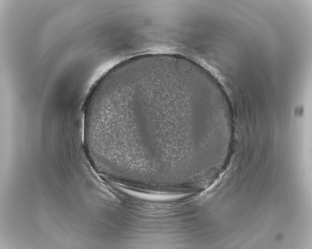 X0000093581171200710291055