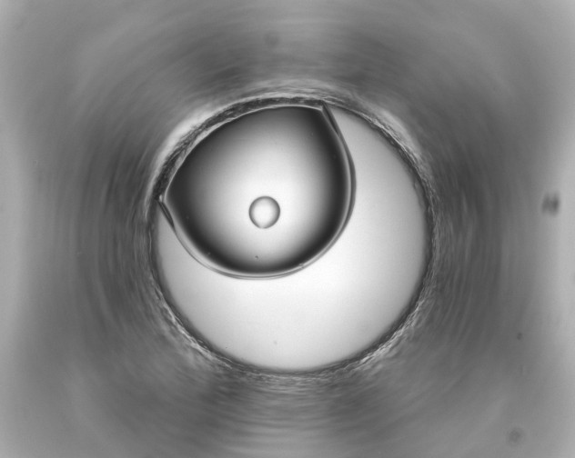 X0000093581172200710291055