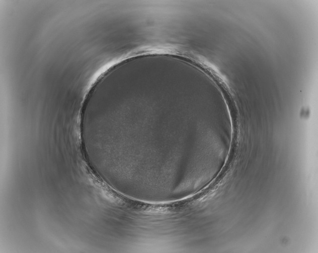 X0000093581174200710291055