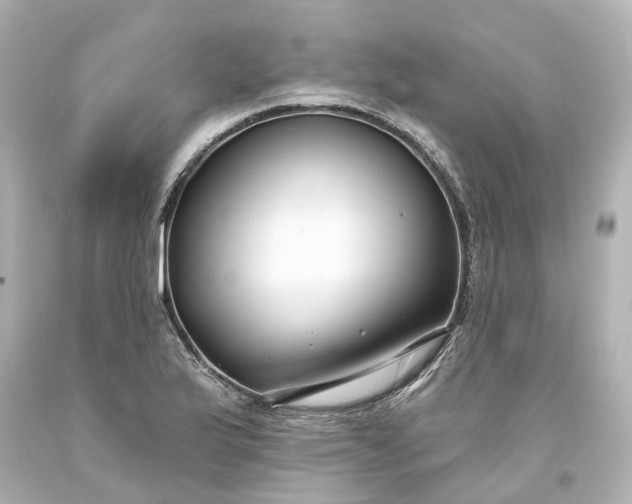 X0000093581175200710291055