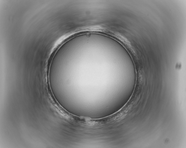 X0000093581176200710291055