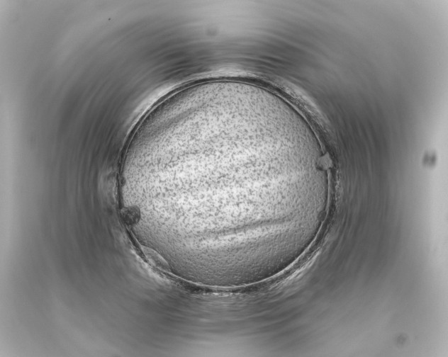 X0000093581177200710291055