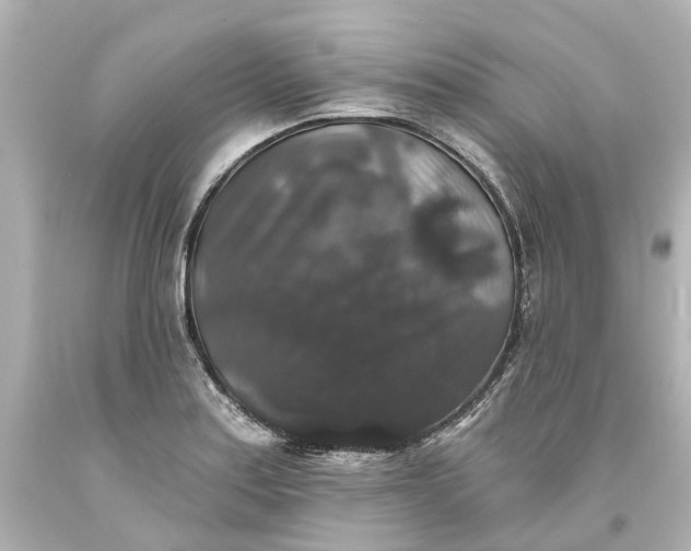 X0000093581179200710291055