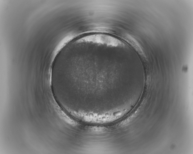 X0000093581180200710291055