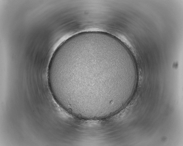 X0000093581181200710291055