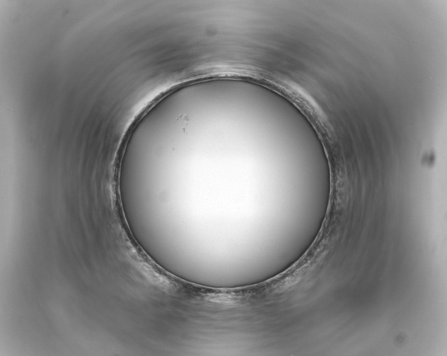 X0000093581182200710291055