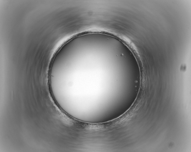 X0000093581183200710291055