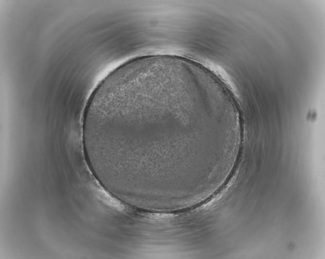 X0000093581184200710291055