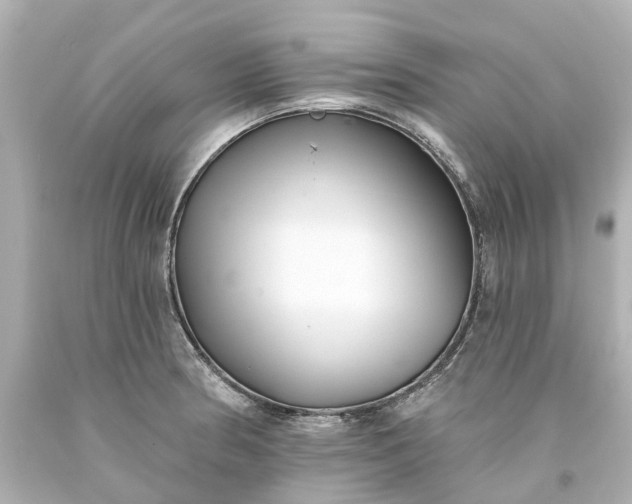 X0000093581186200710291055