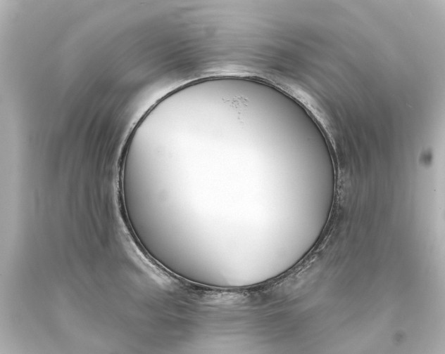 X0000093581187200710291055