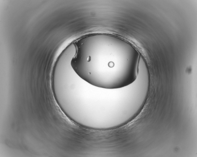 X0000093581188200710291055