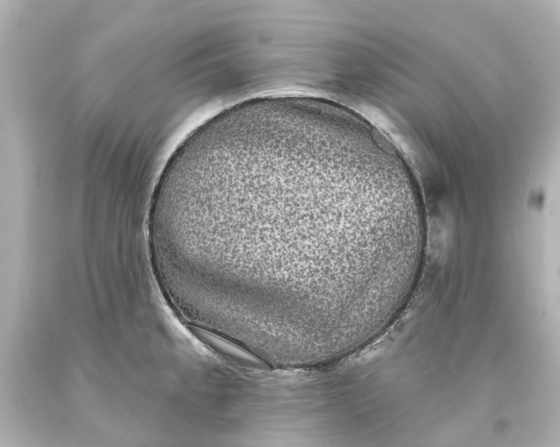 X0000093581189200710291055