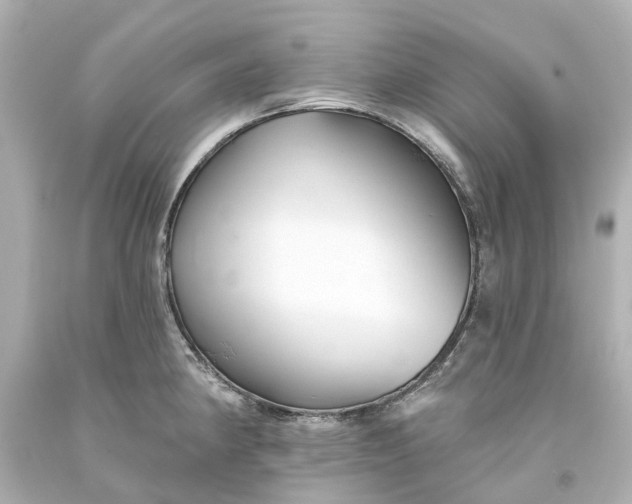 X0000093581190200710291055