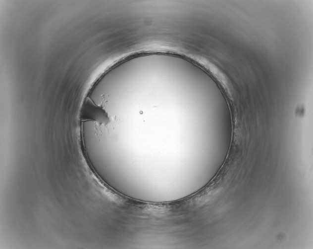 X0000093581191200710291055