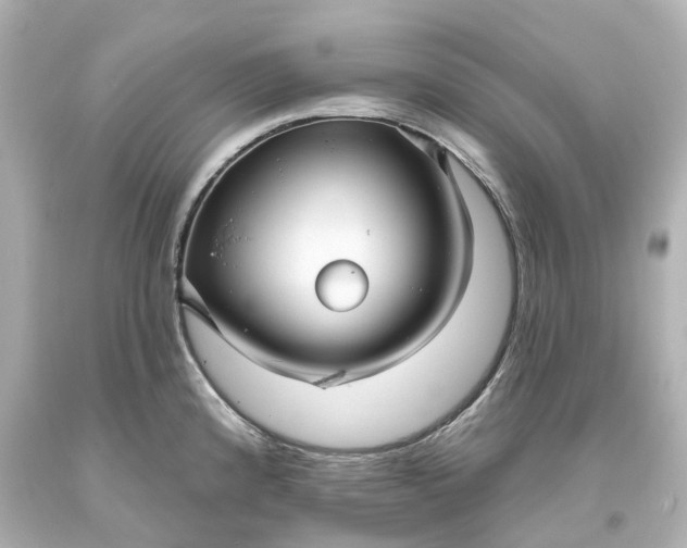 X0000093581192200710291055