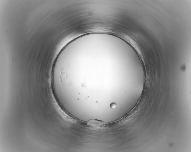 X0000093581195200710291055