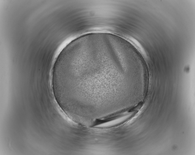 X0000093581196200710291055