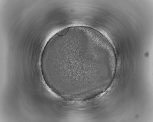 X0000093581197200710291055