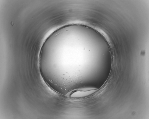 X0000093581199200710291055