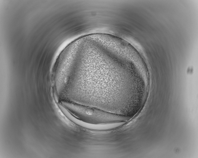 X0000093581200200710291055