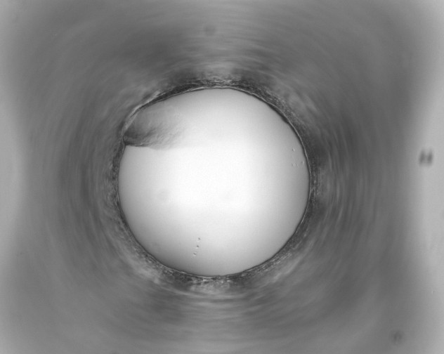 X0000093581201200710291054