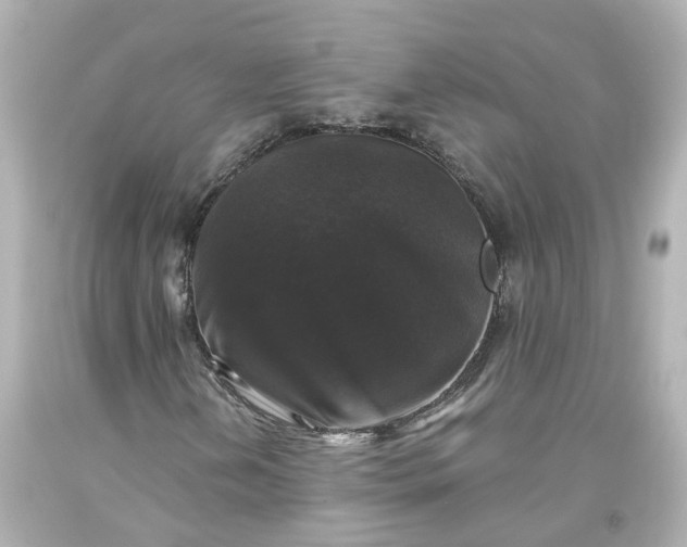 X0000093581202200710291054