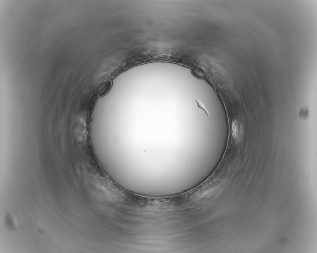 X0000093581203200710291054