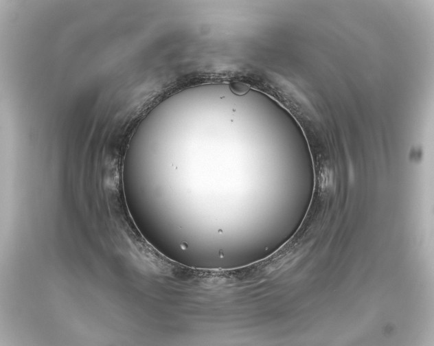 X0000093581204200710291054