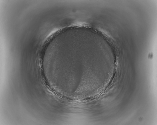 X0000093581206200710291054