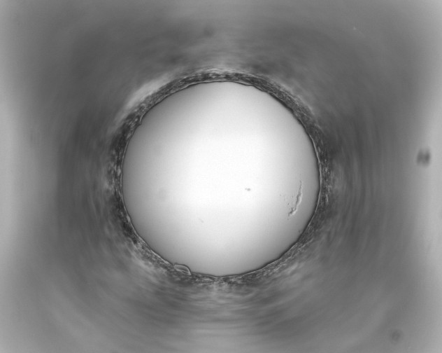 X0000093581207200710291054