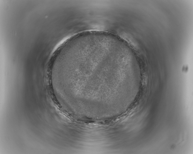 X0000093581208200710291054