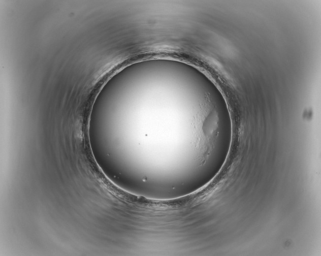 X0000093581209200710291054