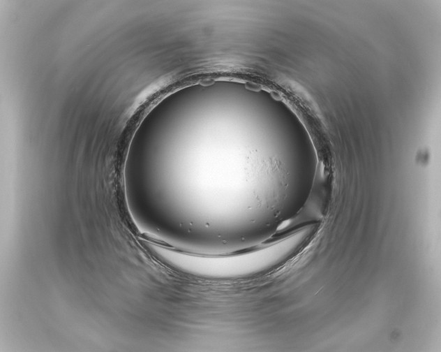 X0000093581210200710291054