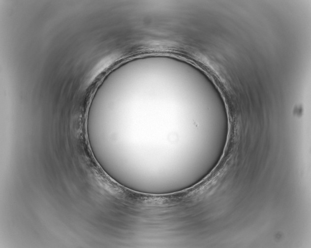 X0000093581211200710291054