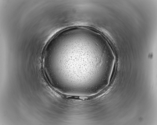 X0000093581212200710291054