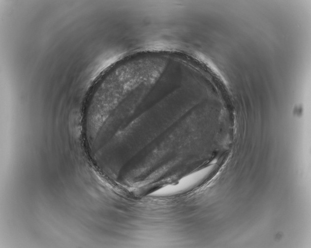 X0000093581213200710291054