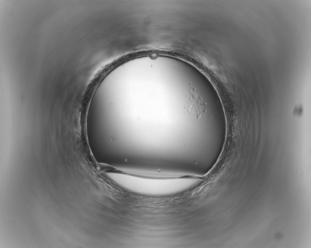 X0000093581214200710291054