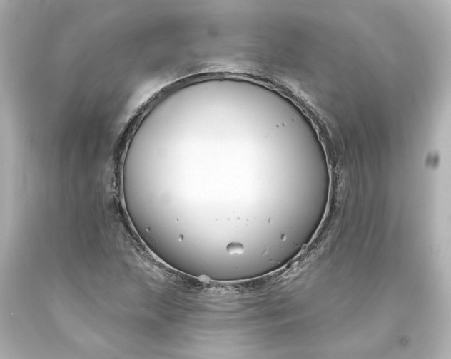 X0000093581215200710291054