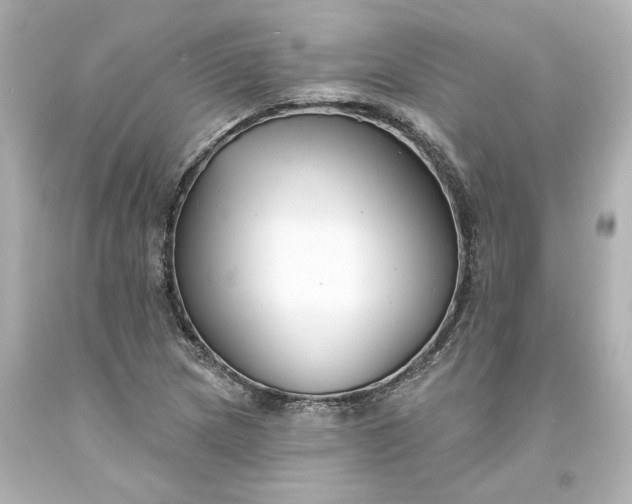 X0000093581217200710291054