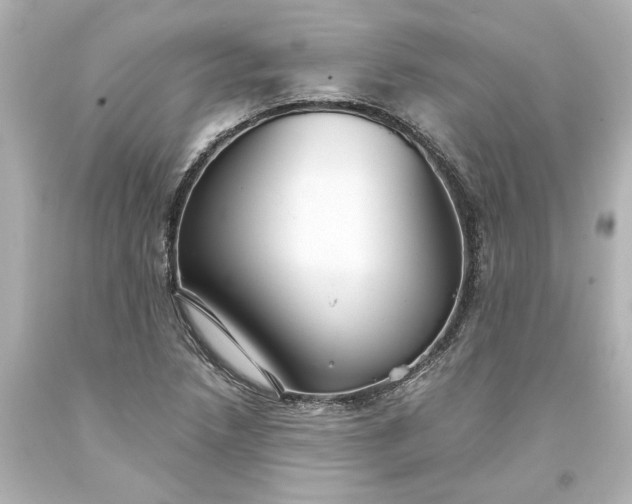 X0000093581218200710291054