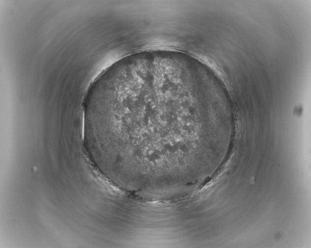 X0000093581219200710291054