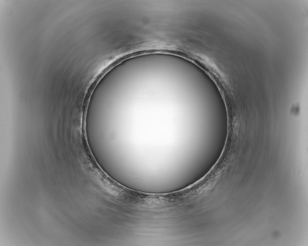 X0000093581220200710291054