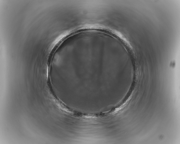 X0000093581221200710291054