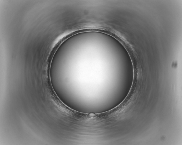 X0000093581222200710291054