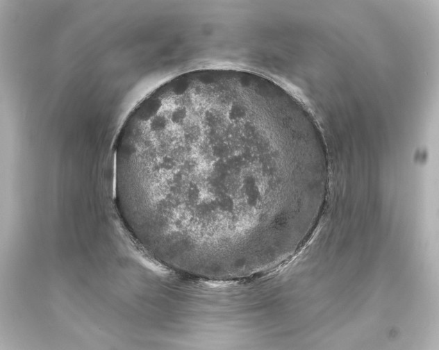 X0000093581223200710291054