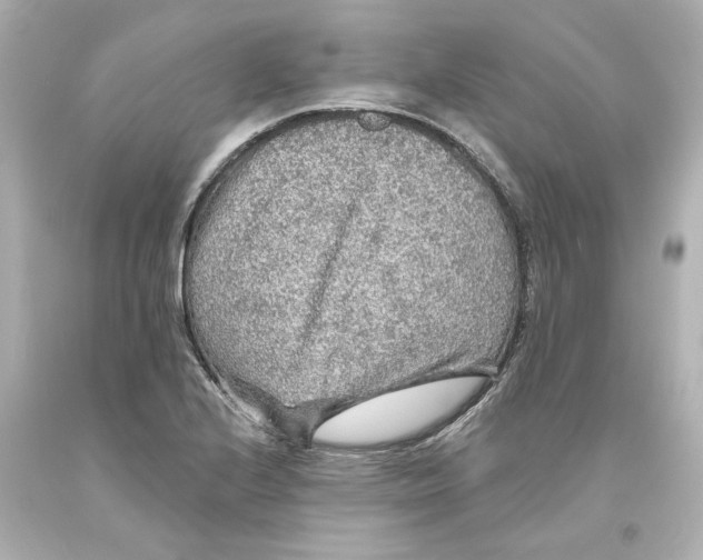 X0000093581224200710291054